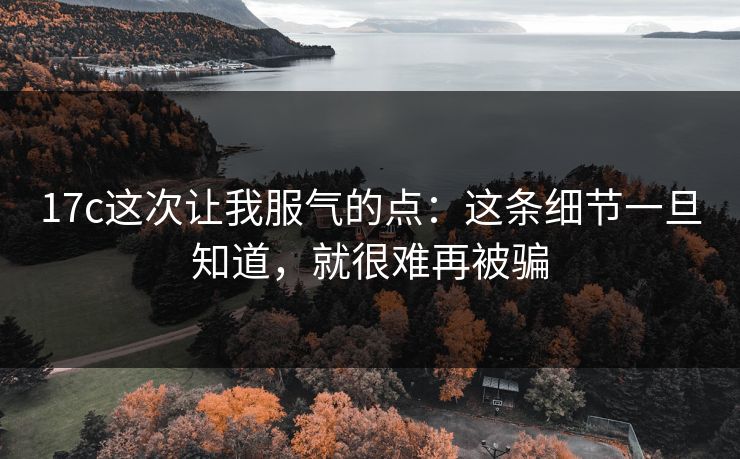 17c这次让我服气的点：这条细节一旦知道，就很难再被骗