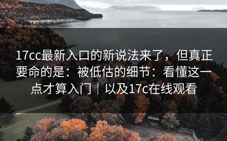 17cc最新入口的新说法来了，但真正要命的是：被低估的细节：看懂这一点才算入门｜以及17c在线观看