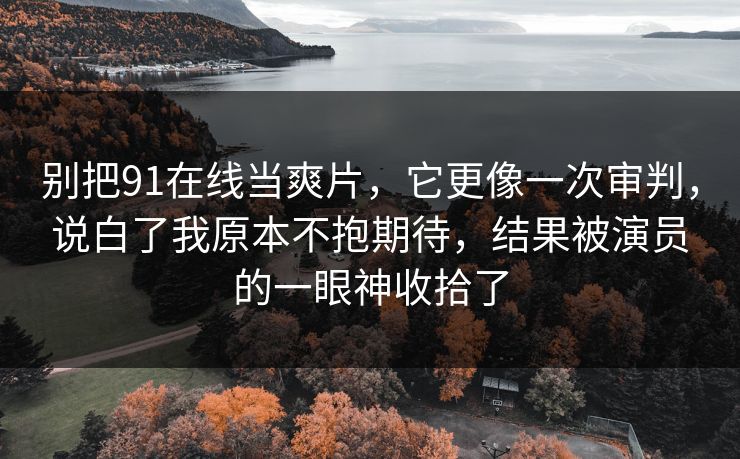 别把91在线当爽片，它更像一次审判，说白了我原本不抱期待，结果被演员的一眼神收拾了