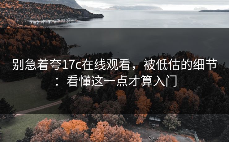 别急着夸17c在线观看，被低估的细节：看懂这一点才算入门