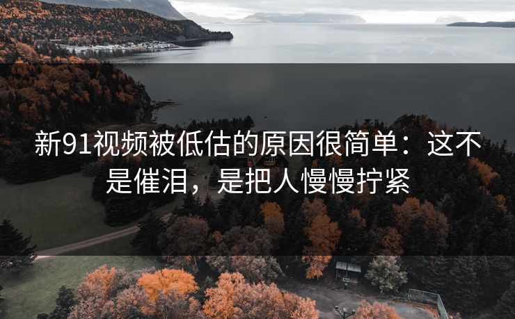 新91视频被低估的原因很简单：这不是催泪，是把人慢慢拧紧