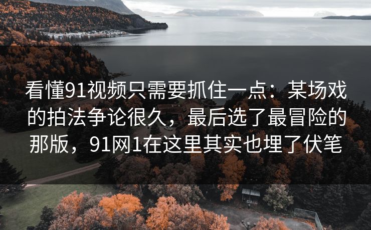 看懂91视频只需要抓住一点：某场戏的拍法争论很久，最后选了最冒险的那版，91网1在这里其实也埋了伏笔
