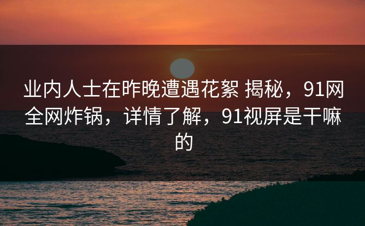 业内人士在昨晚遭遇花絮 揭秘，91网全网炸锅，详情了解，91视屏是干嘛的